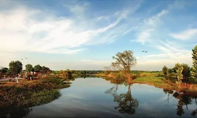 8.利辛西淝河湿地