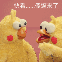 表情包|鹦鹉兄弟——黄金脆皮鸡!