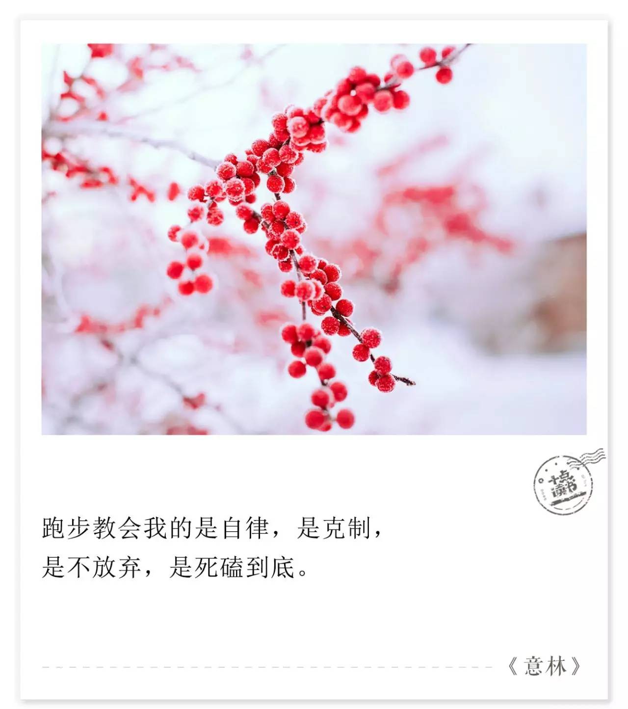 女人越自律,活得越高级