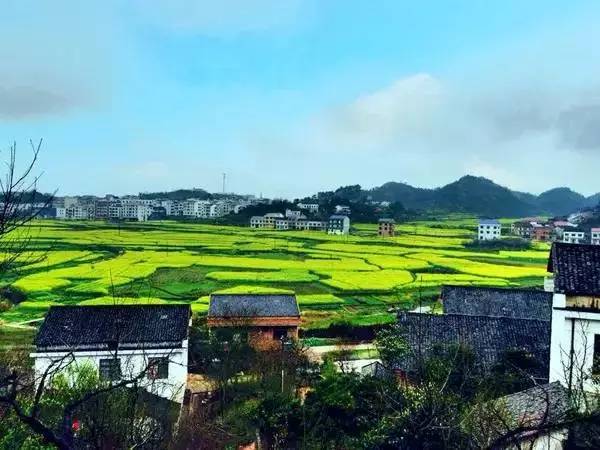 萱洲古镇位于衡阳南端,湘江江畔,因盛产萱草(草本植物,可制作黄花菜)