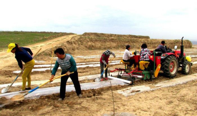 礼县有多少人口_礼县土地流转 在家门口年入上万的新模式