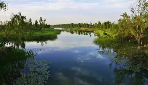 济西国家湿地公园位于济南市中心城区的西部,紧邻玉清湖水库.