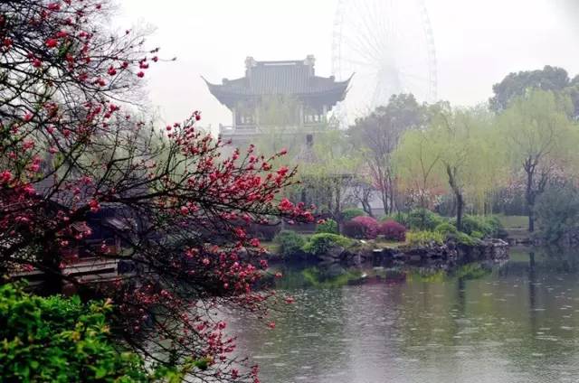 春雨如诗:人间最美四月天,桃花细雨润绵绵