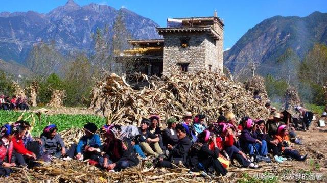 镜头下:藏族农村庄稼地热热闹闹办酒席