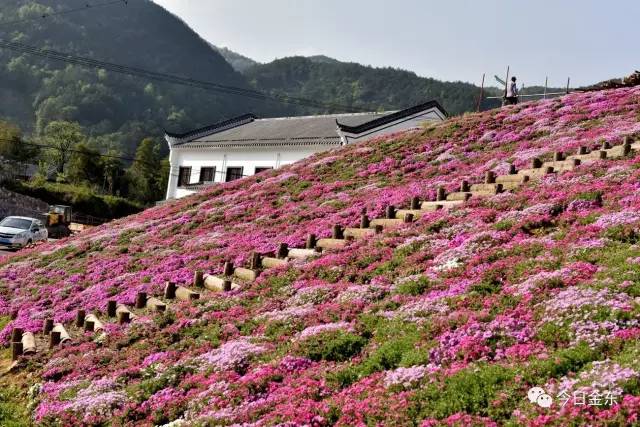 金屏人口_被全国压岁钱地图刷屏 金山人的吐槽实在太扎心(2)