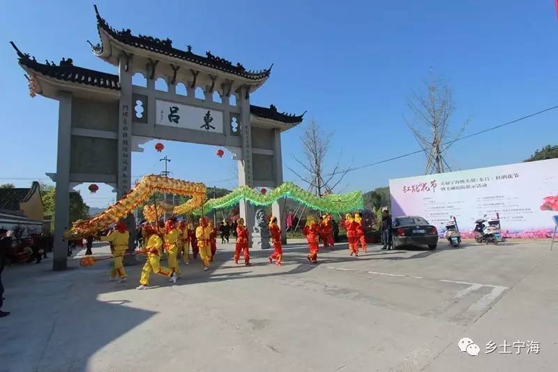 【美丽乡村 航拍桥头胡东吕村,美哭了网友