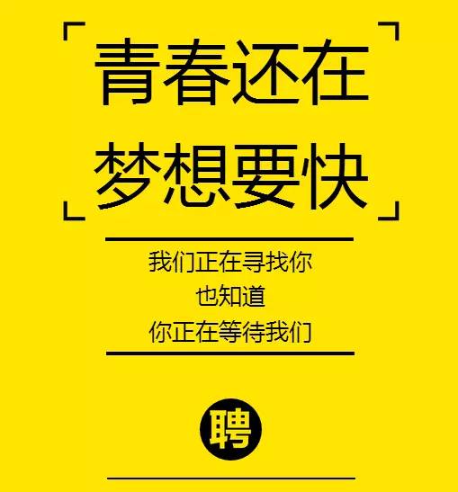 工资招聘_青岛高端人才竞争惨烈 证券业30万年薪只剩1 3 图(2)