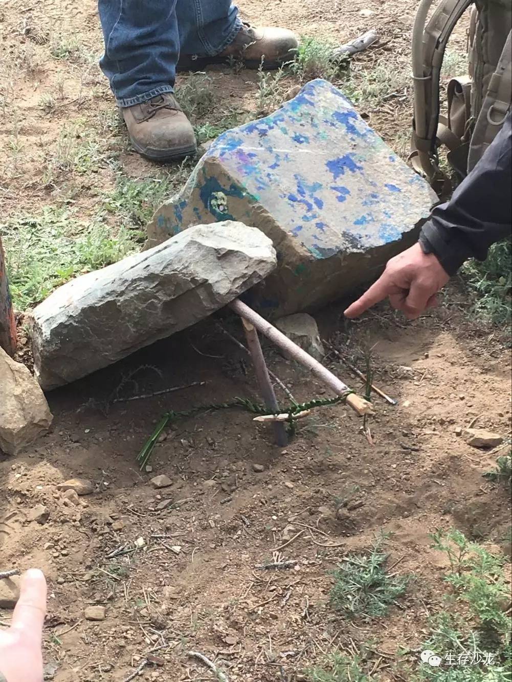 在零下四度的野外山林,掌握这些技能才能生存