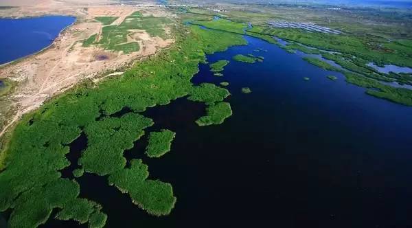 福海县人口_福海县初级中学图片