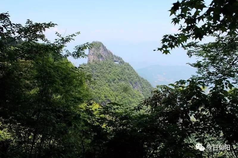 美景如织,流连忘返乡村生态游在太极城森林公园,你可以细细品味这里的