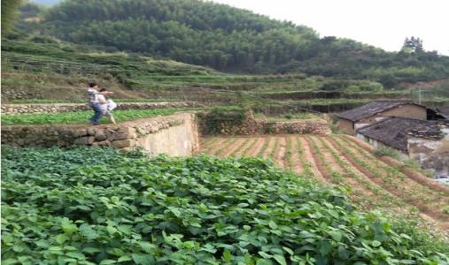 农村土地一亩地值多少钱