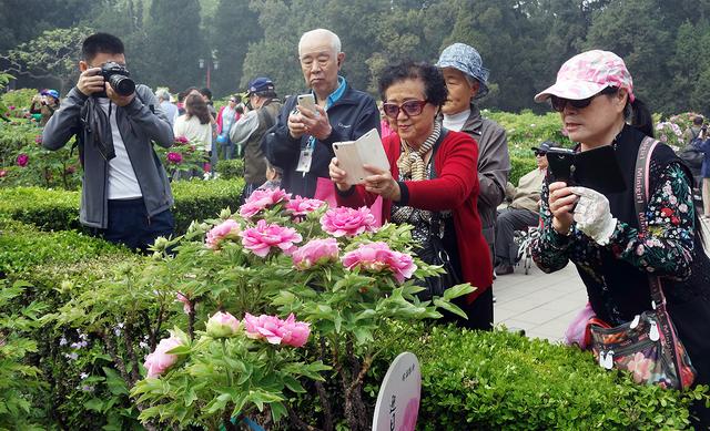 旅游 正文  景山公园春季花卉展暨第二十一届牡丹文化艺术节于4月17