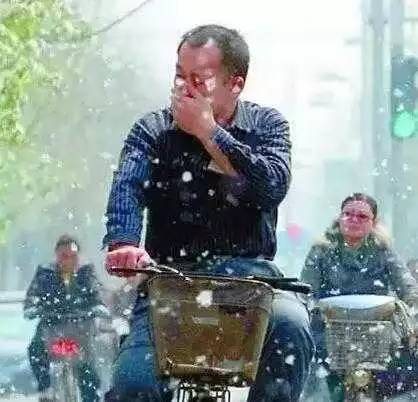 杨絮纷飞不是雪——是隐患!