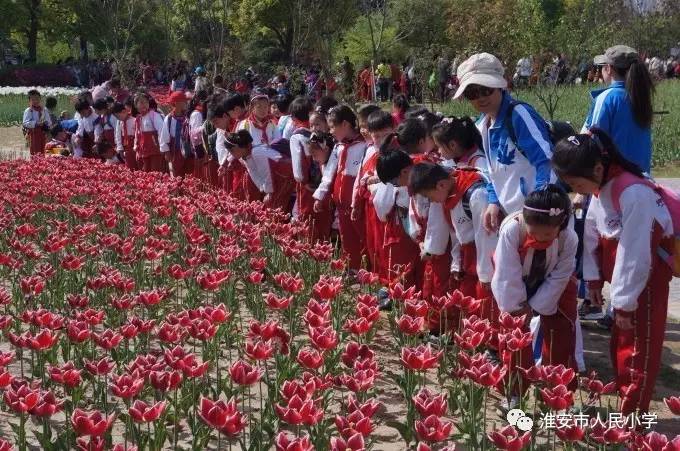 游人什么成语三年级_成语故事图片