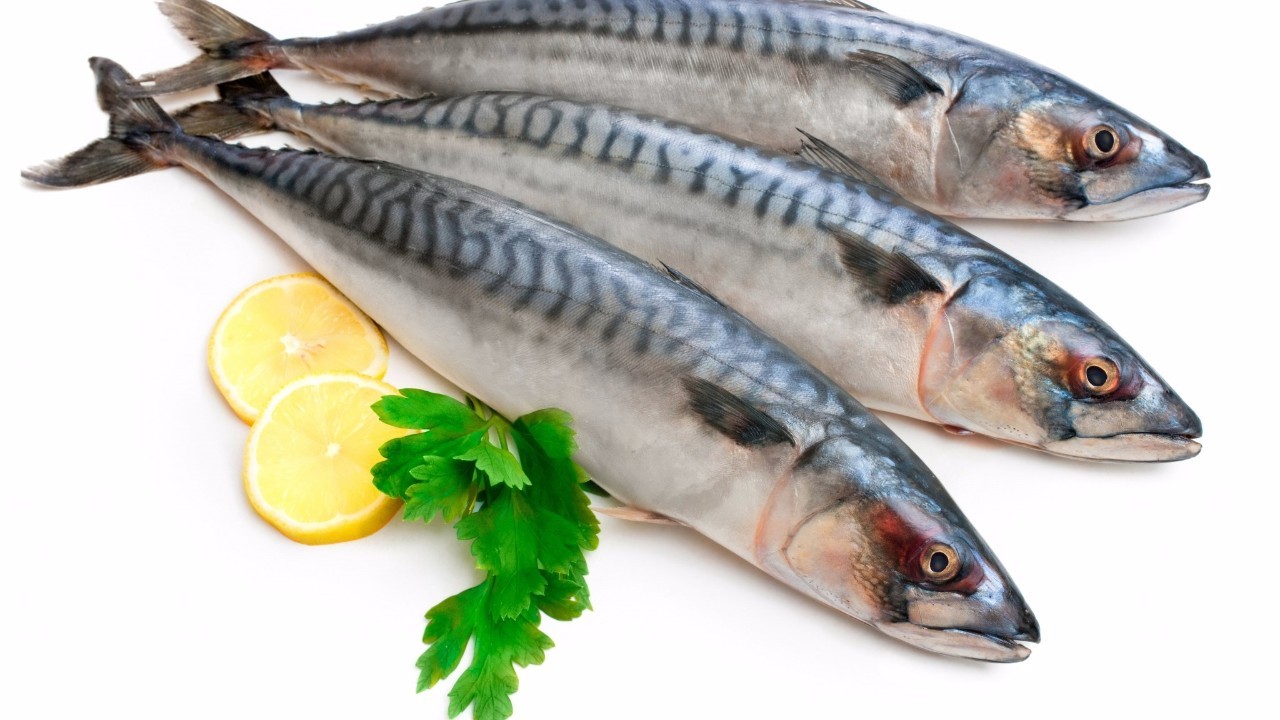美味的青花鱼/鲐鱼,丰富的vd,碘和高质量omega3脂肪酸,可以占总饮食的