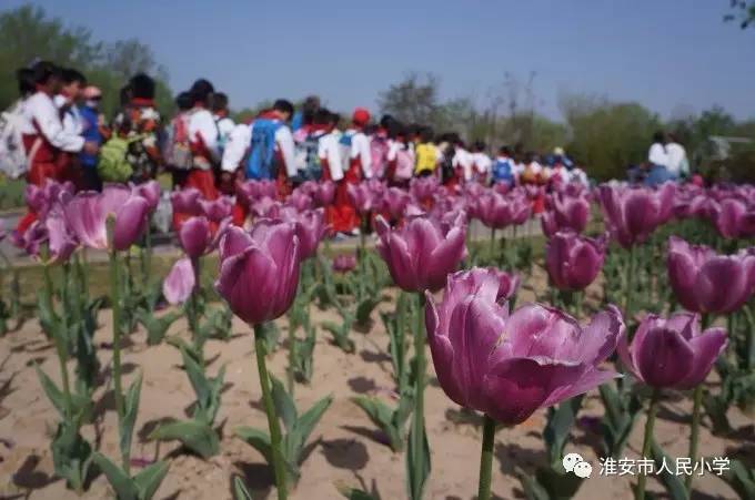 游人什么成语三年级_成语故事图片