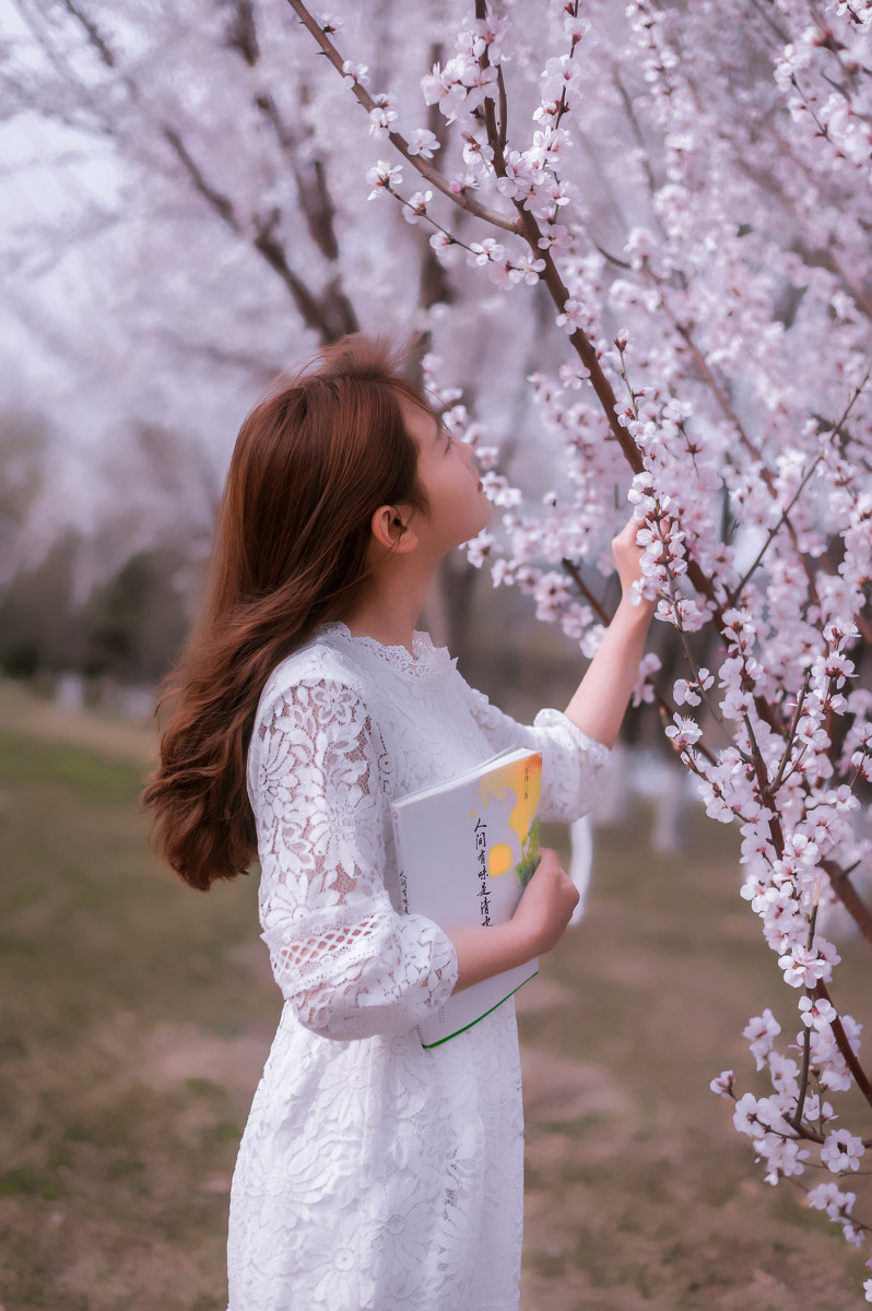 筑讯科技:樱花树下,那些白色雪纺衫女子都是很好