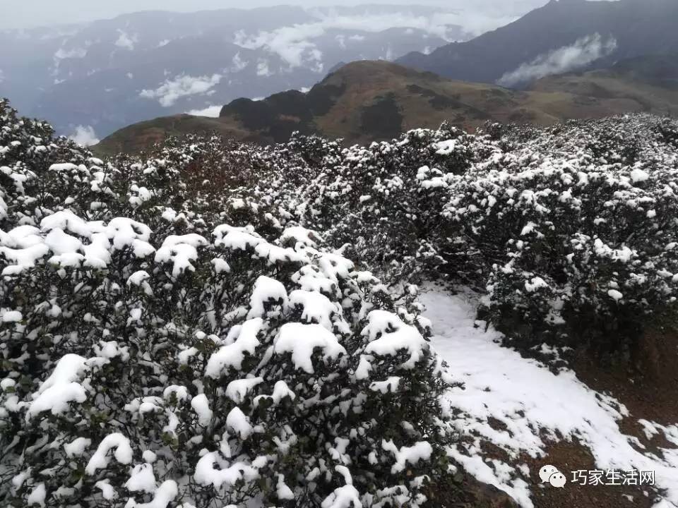 气温直降十多度,巧家高海拔地区又下雪啦【附下雪视频】