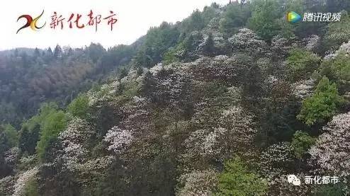 新化县维山乡四都村人口_寺山乡青瑶村