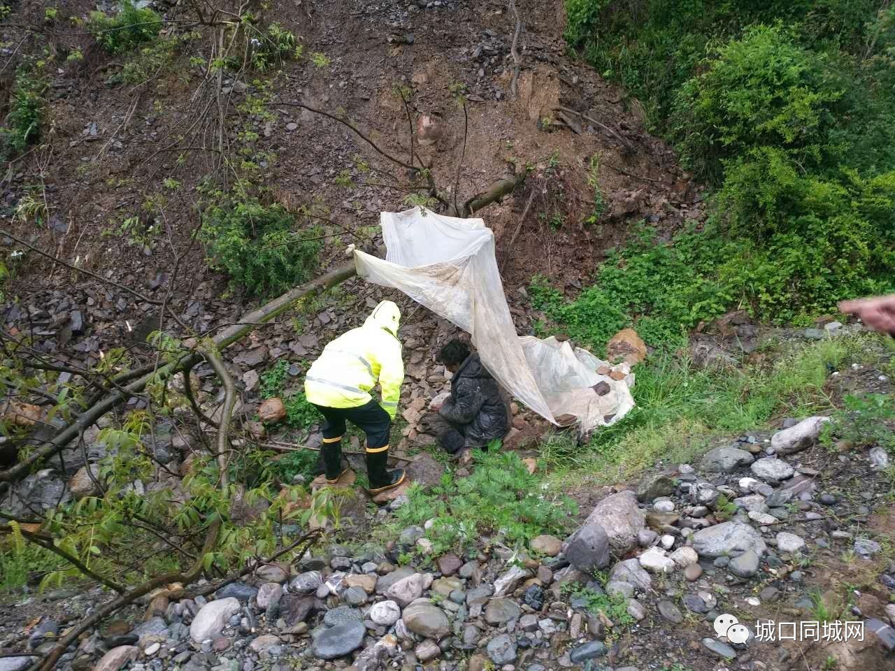 城口人口有多少_城口多少人口(2)