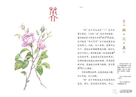 草什么花什么四字成语_四字成语什么百万(2)