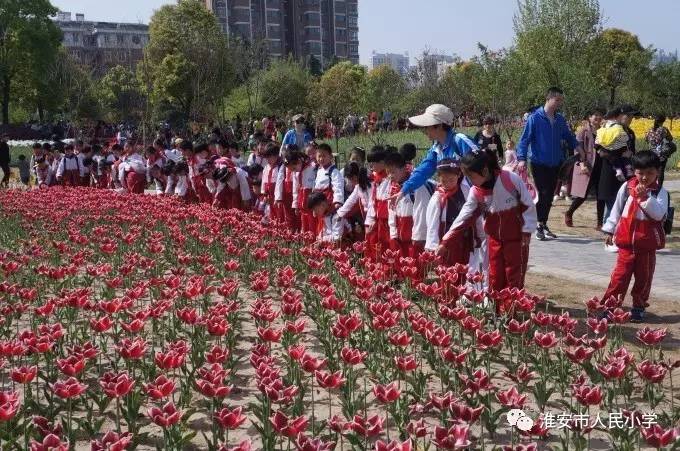 游人什么成语三年级_成语故事图片