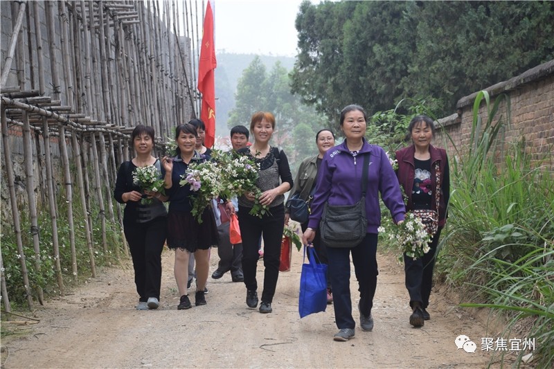 宜州市有多少人口_...高速,准备驶出宜州路口附近发生一起车祸起火事故,副驾(3)