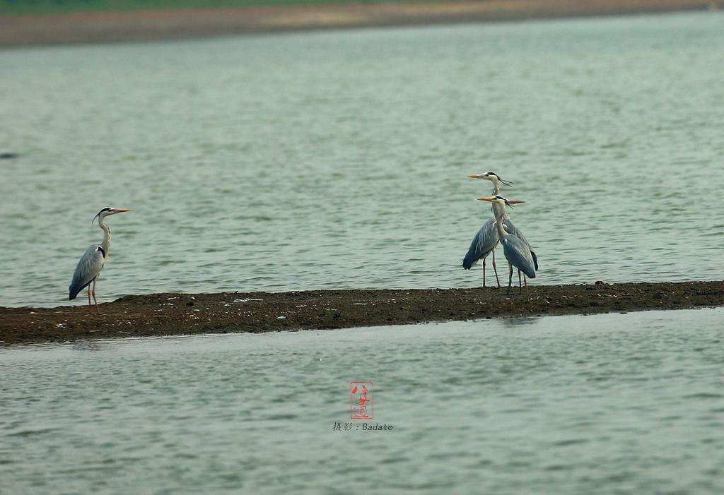 亚洲第一湖"宋鲁湖"的梦溪镇,还是清朝康熙皇帝的姑父吴应熊的爸爸