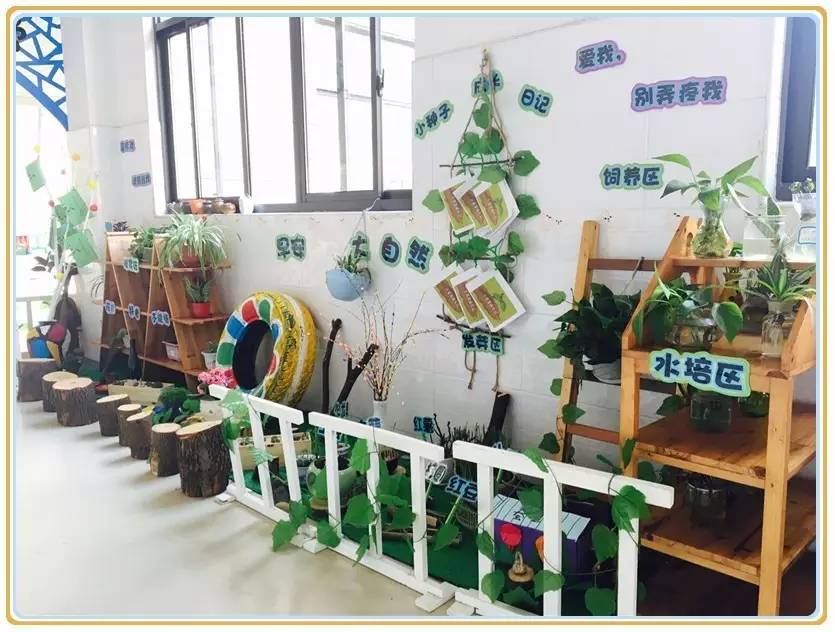 走廊里的春天------张浦中心幼儿园班级自然角大比拼