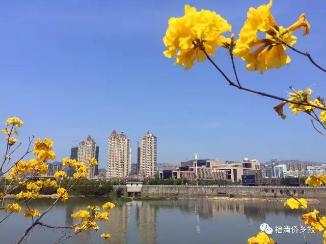 福清最美四月天!除了龙江河畔,还有你不知道的秘密花园