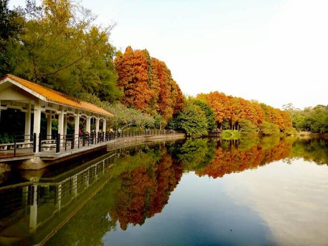 广州最美的公园-麓湖