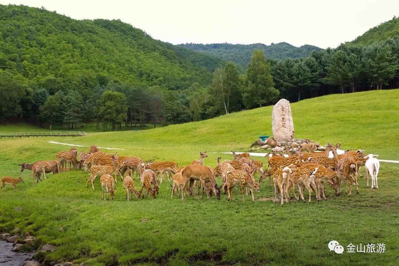 伊春○金山屯 ▏伊春夏季旅游产品推介会北京召开