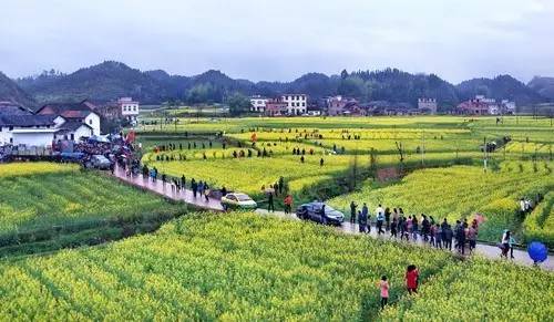 益阳多少人口_这些天,将有几万人离开益阳,从此以后(3)