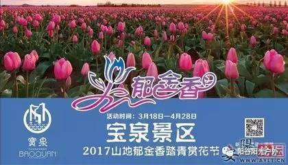 百万株郁金香争相开放,只为在最美的春天遇见你~宝泉一日游4月22日