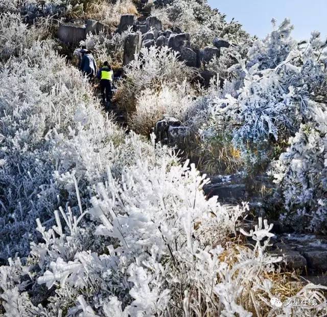 柘荣东狮山雪景你见过吗