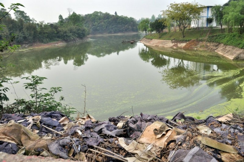 曾几何时,位于城郊的杨桥水库以其"水清,岸绿,景美"成为市民们周未