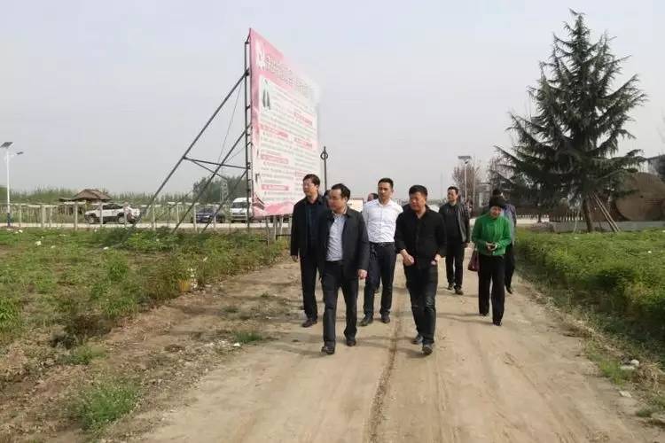 县委书记杨向喜调研中冠牡丹园项目建设