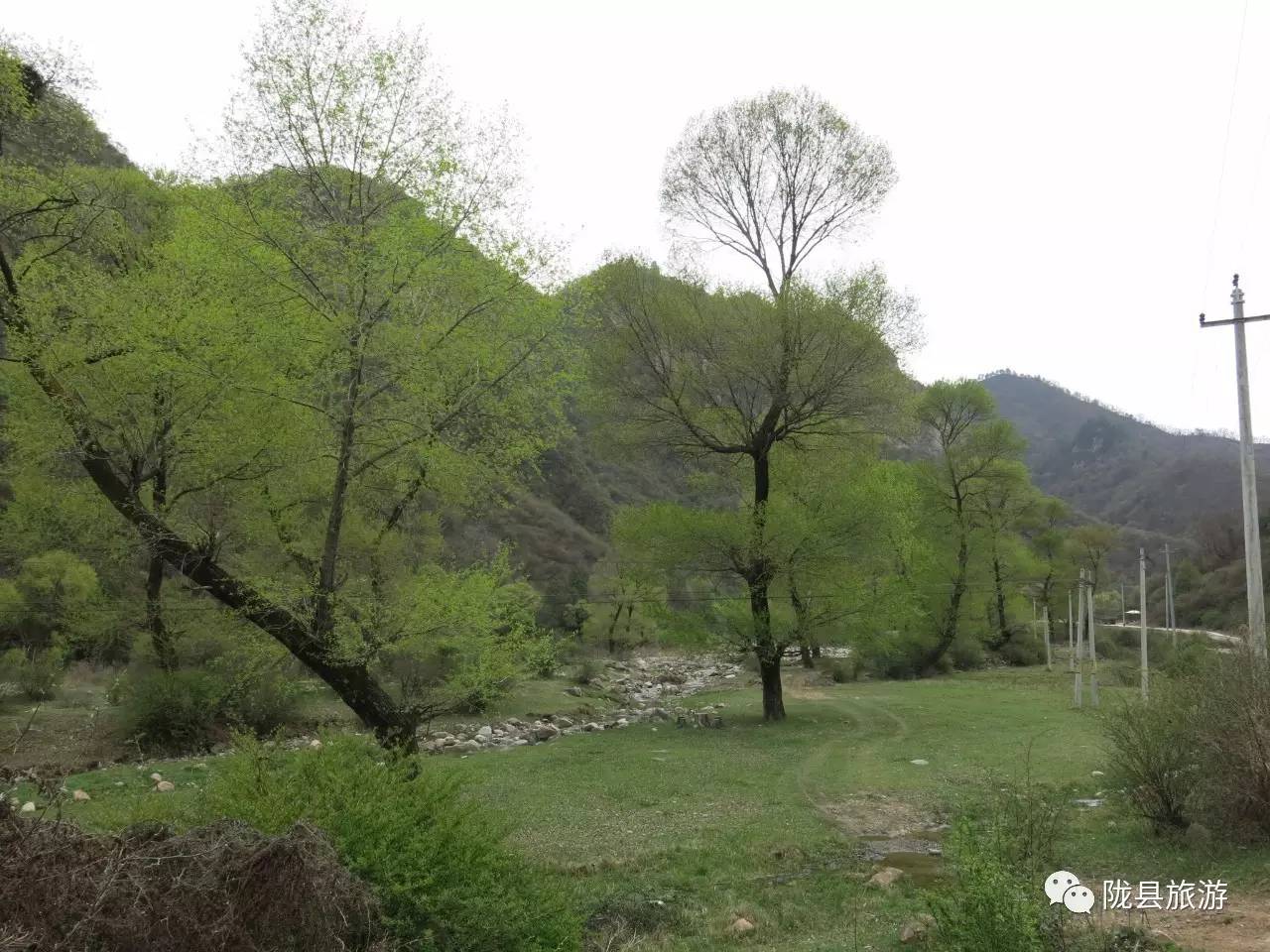 全域旅游在八渡 陇县八渡镇积极构建"产业围绕旅游转,产品围绕旅游造