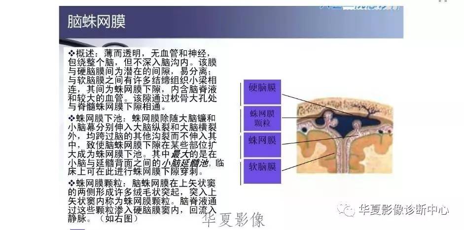 比较学习-硬膜外血肿及石硬膜下血肿相关问题