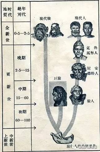 钻山洞简谱_钻山洞图片卡通(5)