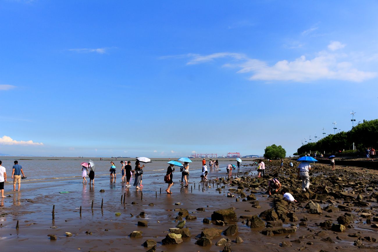 广州虽然是沿海城市 但很可惜只有码头 并没有可以下水游泳的海滩