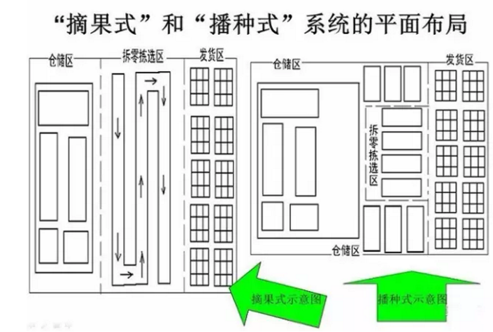 深度分析|仓库摘果法pk播种法,到底谁更强?