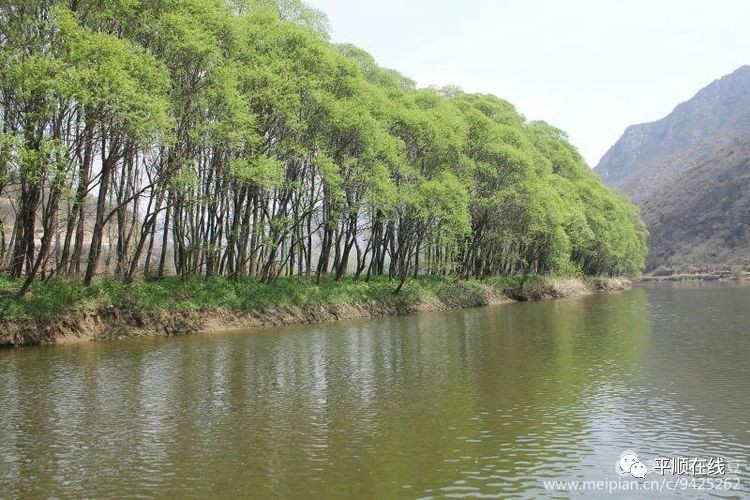 走遍平顺之柳树湾--不容错过的风景