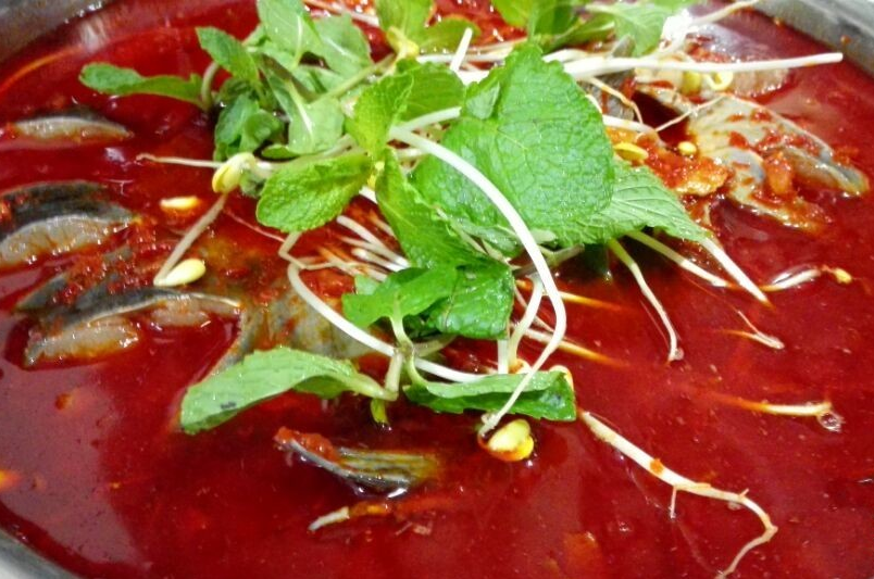 贵州特色美食——酸汤鱼,酸鲜开胃,安逸得很!
