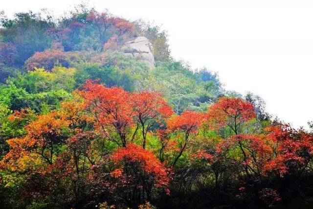 地址:平顶山市鲁山县尧山镇想马河村境内