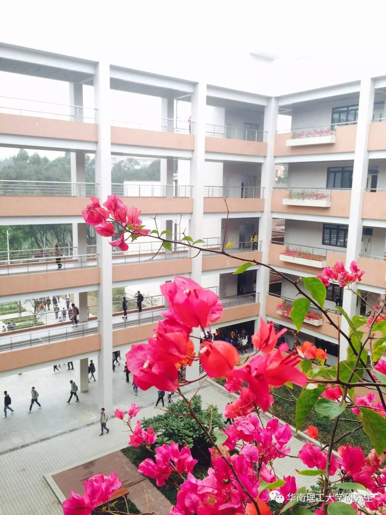 by 自动化科学与工程学院 蔡珠清春雨后夜晚的华工,准备考研的他在