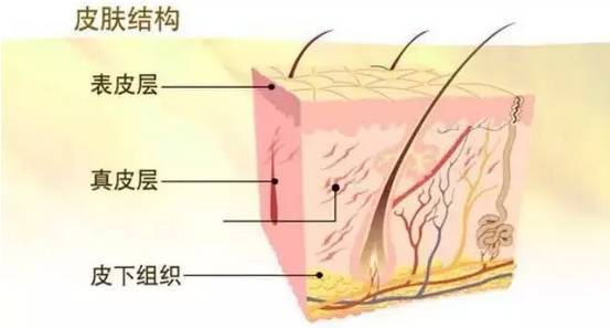 除斑霜的原理_冲霜水系统原理图