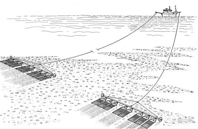 渔船使用多个拖网捕捞贝类示意图