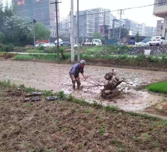 龙南各乡镇人口_龙南县有多少个镇(2)