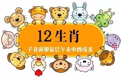 12年的相伴 12年一轮回 从2005年鸡年到2017年鸡年,整整一个生肖轮回